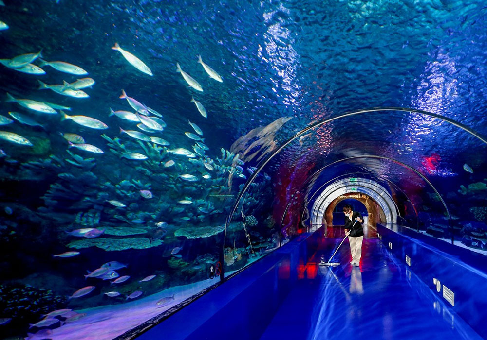 AQUARIUM & ANTALYA